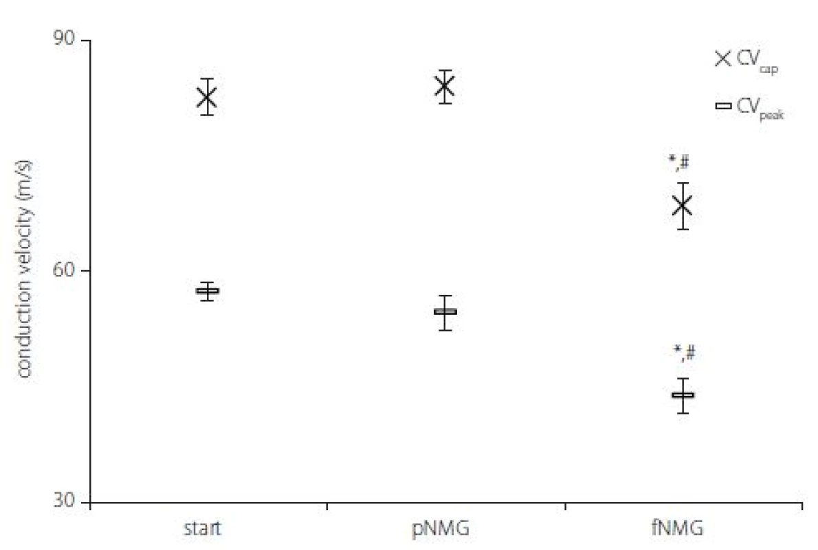 Conduction velocities regarding experiment groups. Values are given as mean ± SEM (Start, pNMG, fNMG; N = 8).
* – P < 0.05 compared with the Start; # – P < 0.05 compared with the pNMG group CV – conduction velocity; fNMG – full N-methyl-D-glucamine replacement; N – number; NMG – N-methyl-D-glucamine; pNMG – partial N-methyl-D-glucamine replacement;
SEM – standard error mean<br>
Obr. 3. Rychlosti vedení vzruchu v jednotlivých experimentálních skupinách. Hodnoty jsou uvedeny jako střední hodnota ± SEM (Start, pNMG, fNMG; n = 8).
* – p < 0,05 v porovnání se skupinou Start; # – p < 0,05 v porovnání se skupinou pNMG CV – rychlost vedení vzruchu; fNMG – plné nahrazení N-methyl-D-glukaminu; n – počet; NMG – N-methyl-D-glukamin; pNMG – částečné nahrazení N-methyl-D-glukaminu; SEM – střední chyba průměru