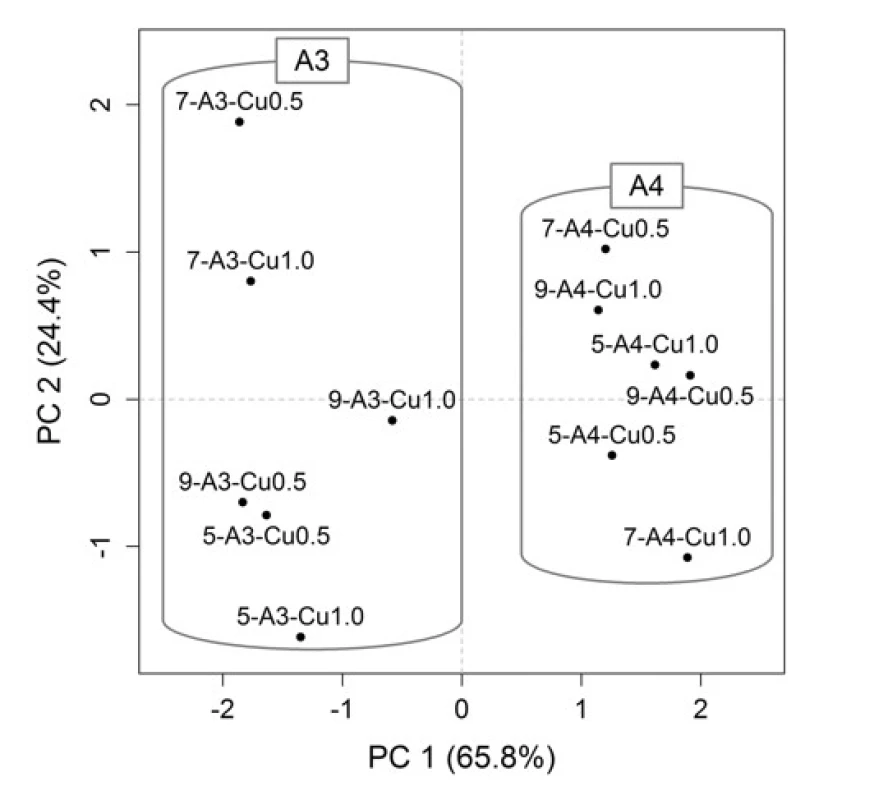 PCA scores plot