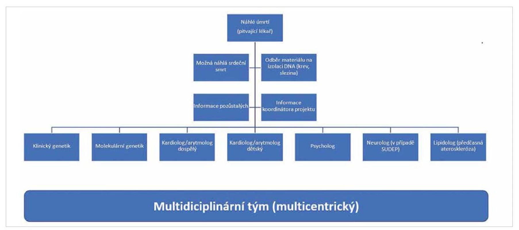 Multidisciplinární řešení případů náhlé srdeční smrti.