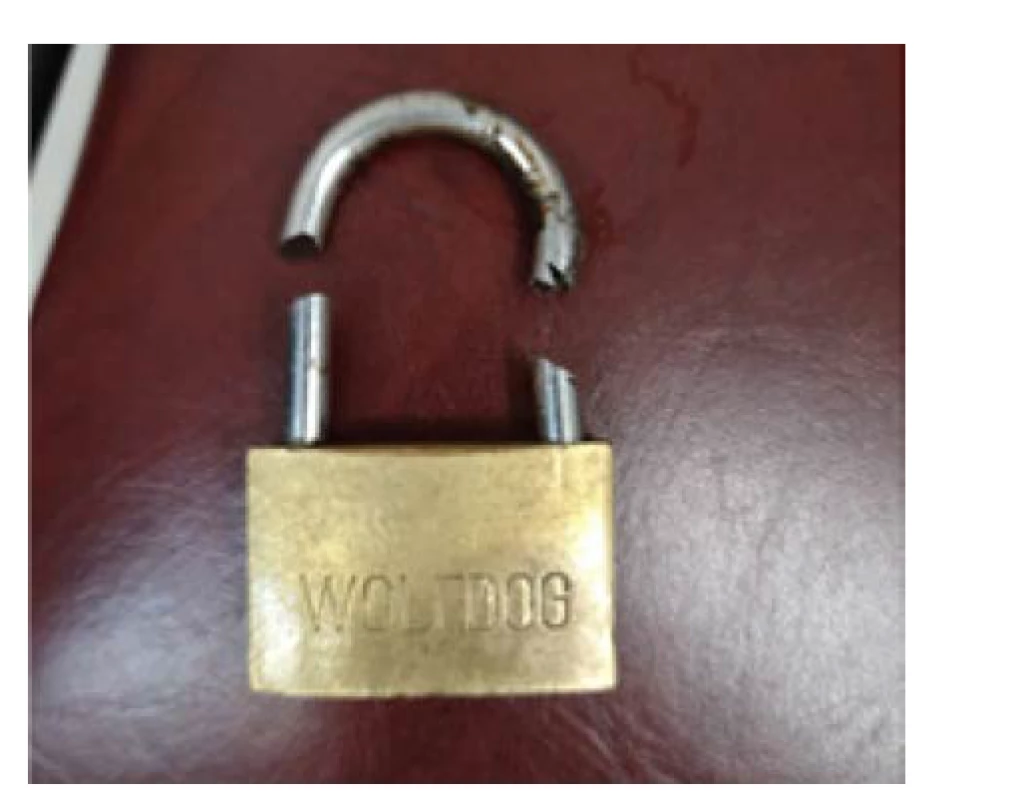 Přerušený zámek<br>
Fig. 3. Broken padlock