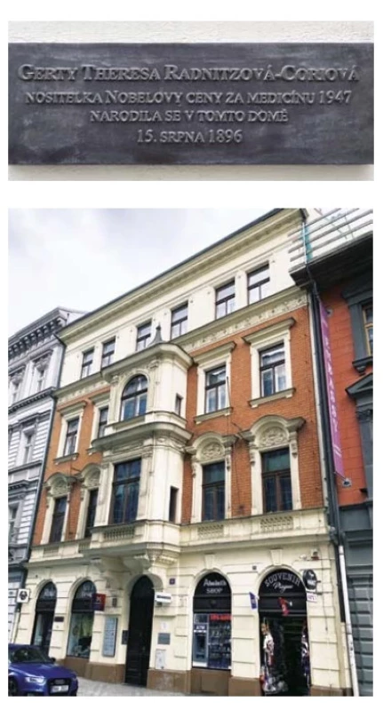 a, b:
Pamětní deska
na rodném domě
Gerty Theresy
Radnitzové-Coriové
v Petrské
ulici 29
na pražském
Novém Městě.
V době jejího
narození byl
tento dům
vzdálen pár
desítek metrů
od hranice
tehdejšího
Královského
hlavního města
Prahy. Za ní se
už rozkládalo
samostatné
město Karlín.