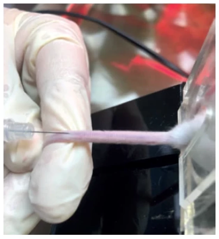 Intravenous application