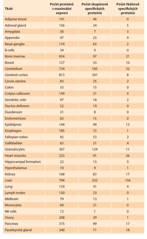 Počet specifických proteinů identifikovaných pro rozdílné tkáně.
V prvním sloupci jsou počty proteinů s maximální relativní expresí v dané
tkáni. V druhém sloupci jsou proteiny obohacené ve skupině tkání a v posledním
sloupci jsou proteiny specifické pro konkrétní tkáně. Z důvodu kompatibility
s databází jsou názvy tkání ponechány v původním znění.<br>
Tab. 2. Number of specific proteins identified for different tissues. In the first
column are the numbers of proteins with maximum relative expression in the
given tissue. The second column shows proteins enriched in a group of tissues,
and the last column shows tissue-specific proteins. For compatibility with the
database, tissue names are left as they were.