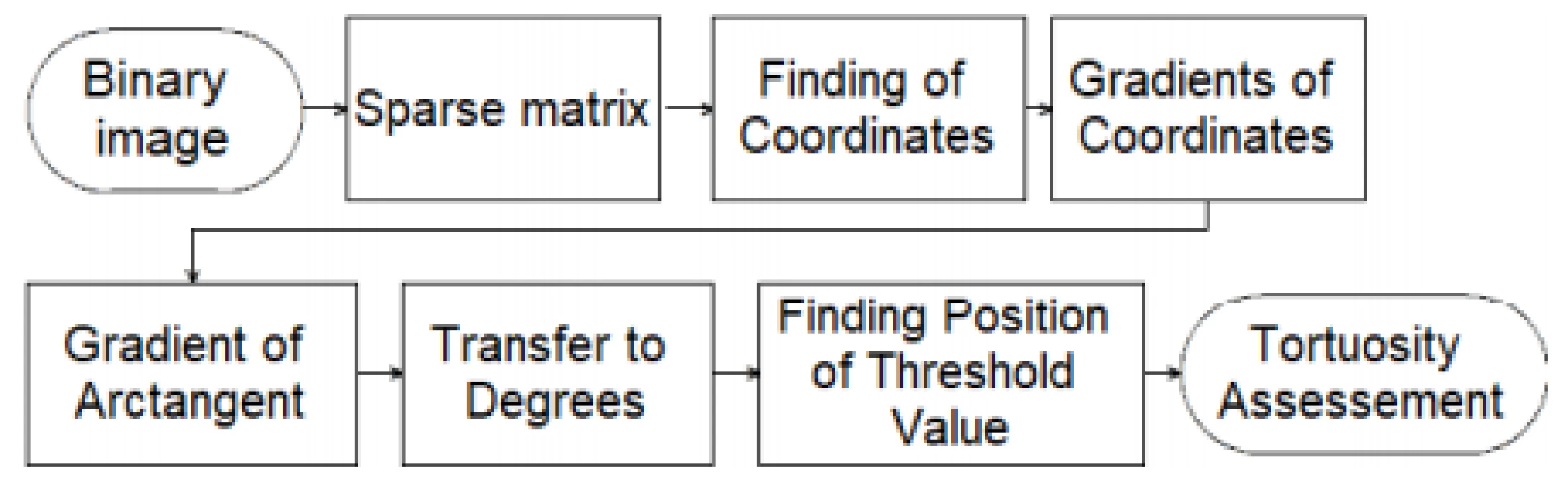 Proposed design of an algorithm for calculation of tortuosity.