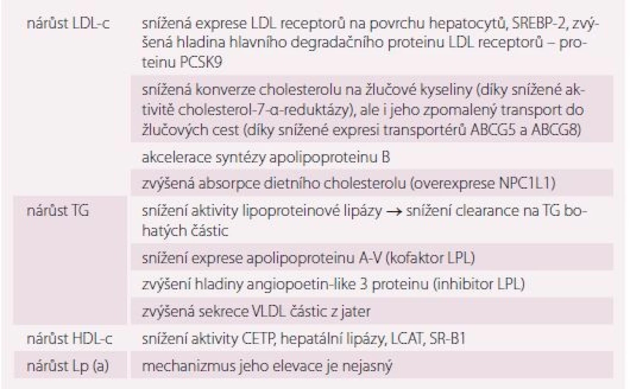 Mechanizmus vzniku dyslipidemie u hypotyreózy. Upraveno dle [1,26].