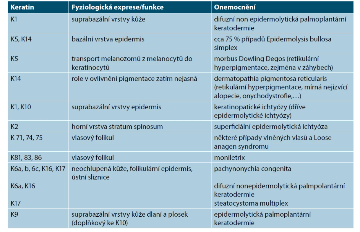 Mutace keratinů u vybraných kožních onemocnění