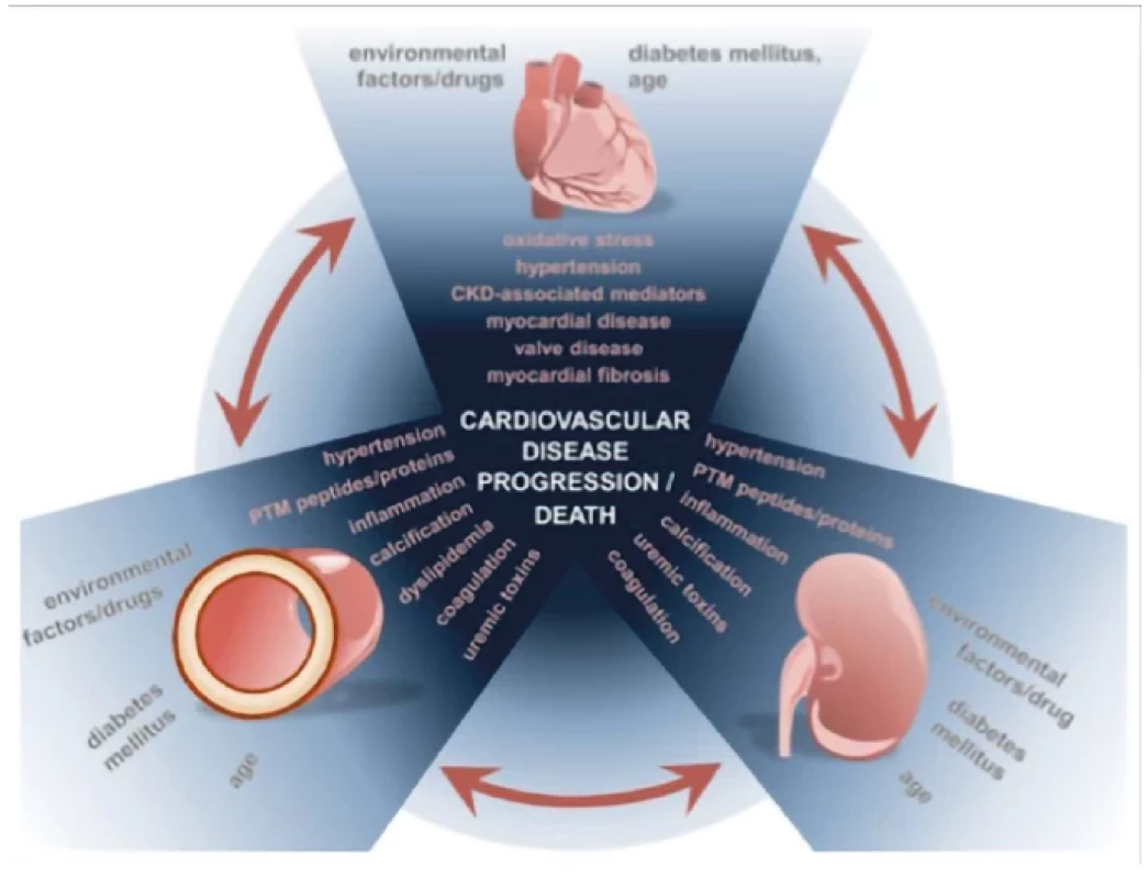 Faktory ovlivňující vznik a progresi CVD u pacientů s CKD