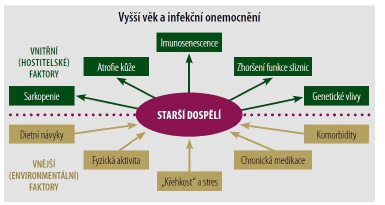 Vyšší věk a infekční onemocnění.