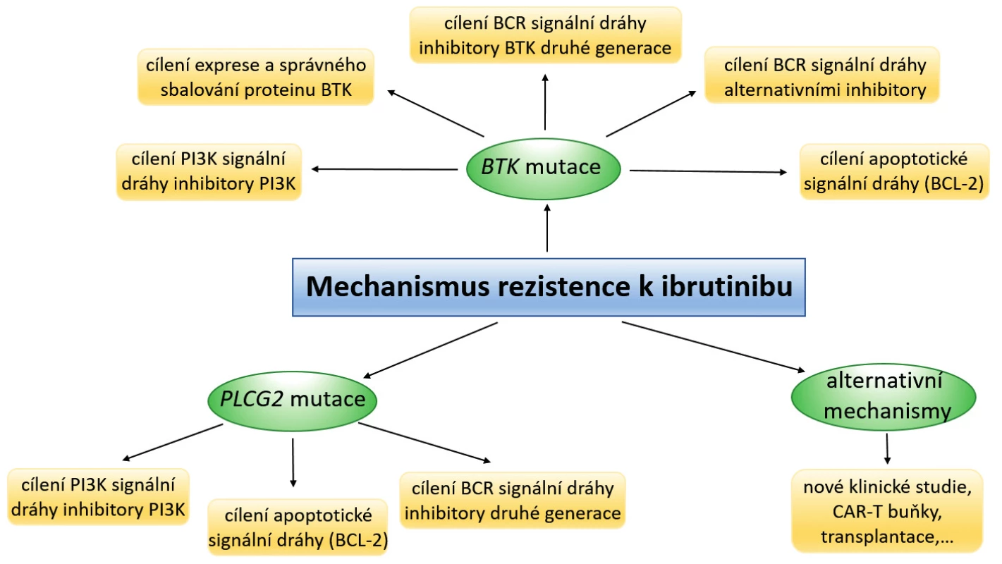 Mechanismy rezistence vůči ibrutinibu a strategie jejího potenciálního překonání. Upraveno podle [45].