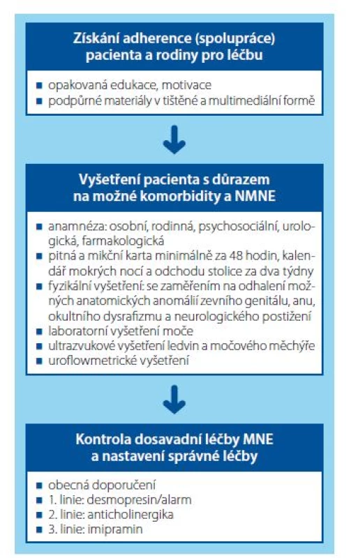 Tři základní kroky v diagnostice a léčbě rezistentního
nočního pomočování<br>
Fig. 1. Three basic steps in the diagnosis and treatment
of resistant enuresis