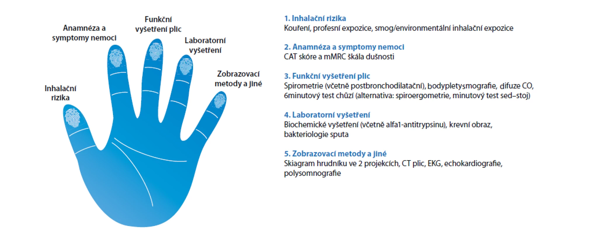 Pět základních kamenů (pilířů) diagnózy CHOPN potřebných k optimálnímu managementu nemoci