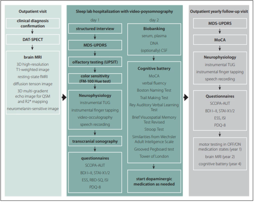 Protocol of the BIO-PD study.<br>
Obr. 1. Protokol studie BIO-PD.