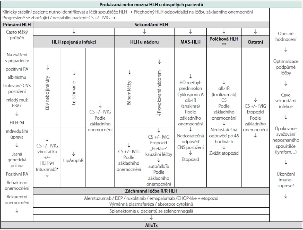 Algoritmus léčby HLH u dospělých pacientů (volně podle La Rosée P et al. Blood 2019)
