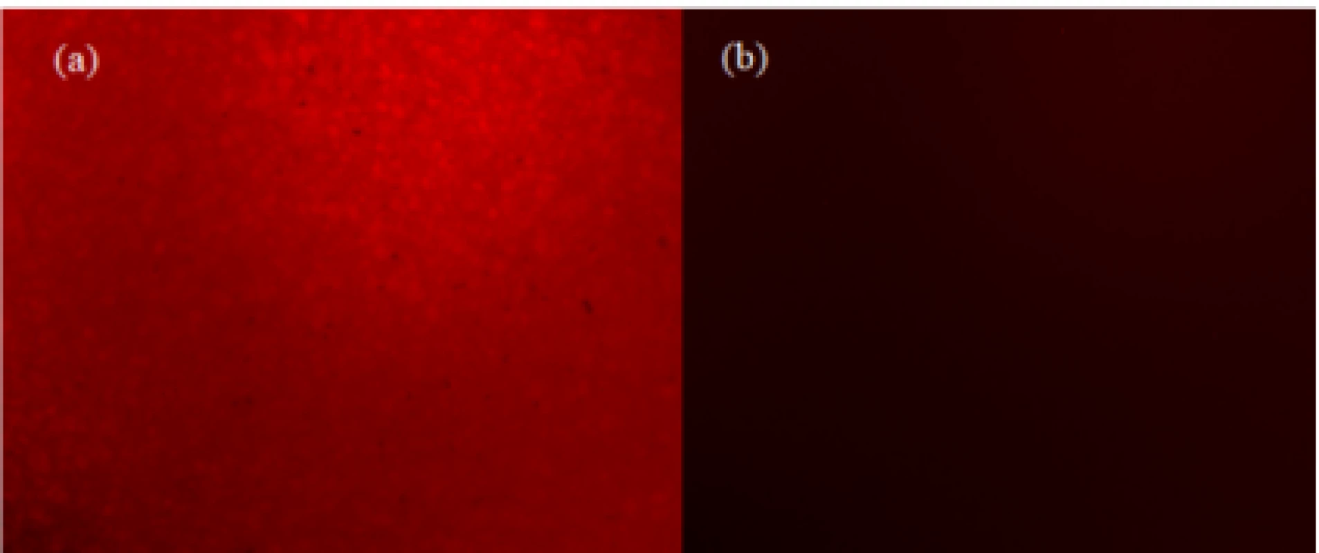  Fluorescence-response of a printed sensor at
5 g/L: a) donor signal and b) reference signal.
