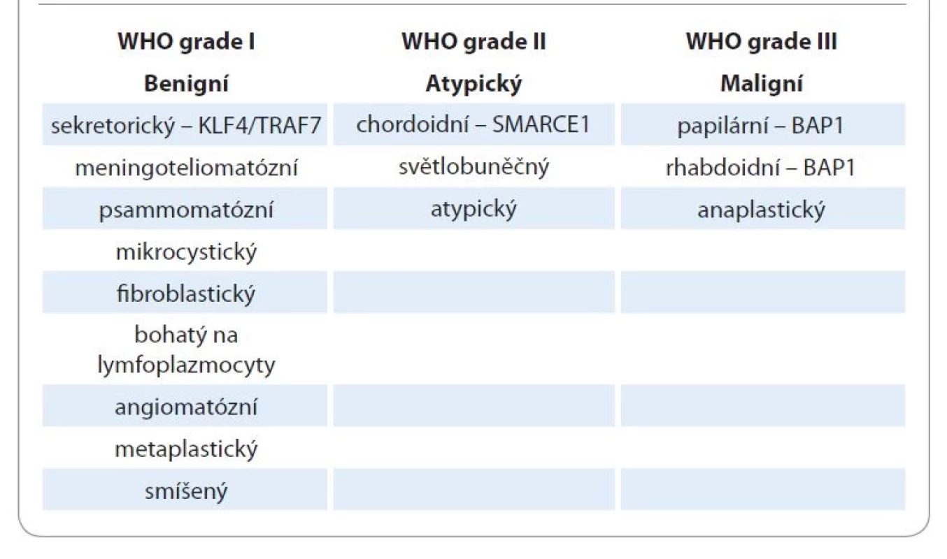 Rozdělení jednotlivých histologických typů dle gradingu, související cytogenetické
změny, dle WHO klasifikace 2021.