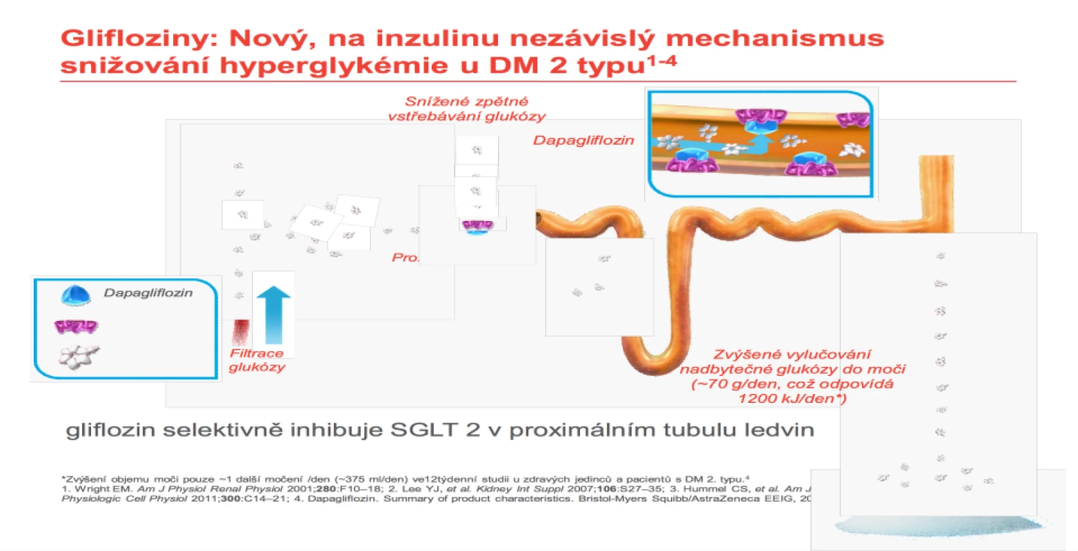 Vysvětlení ztráty glukózy močí. Zdroj: AstraZeneca.<br>
Fig. 8. Explanation of urine glucose loss. Source: AstraZeneca.
