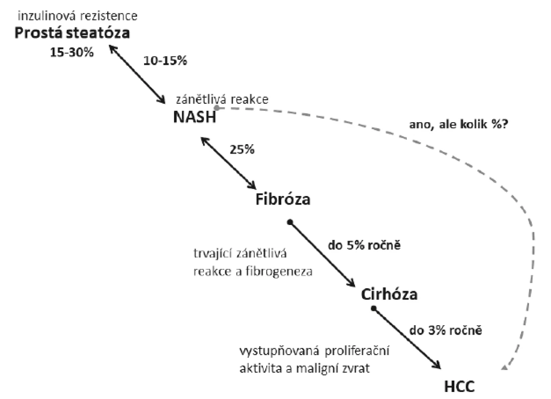Přirozený průběh jaterního postižení při NAFLD/NASH