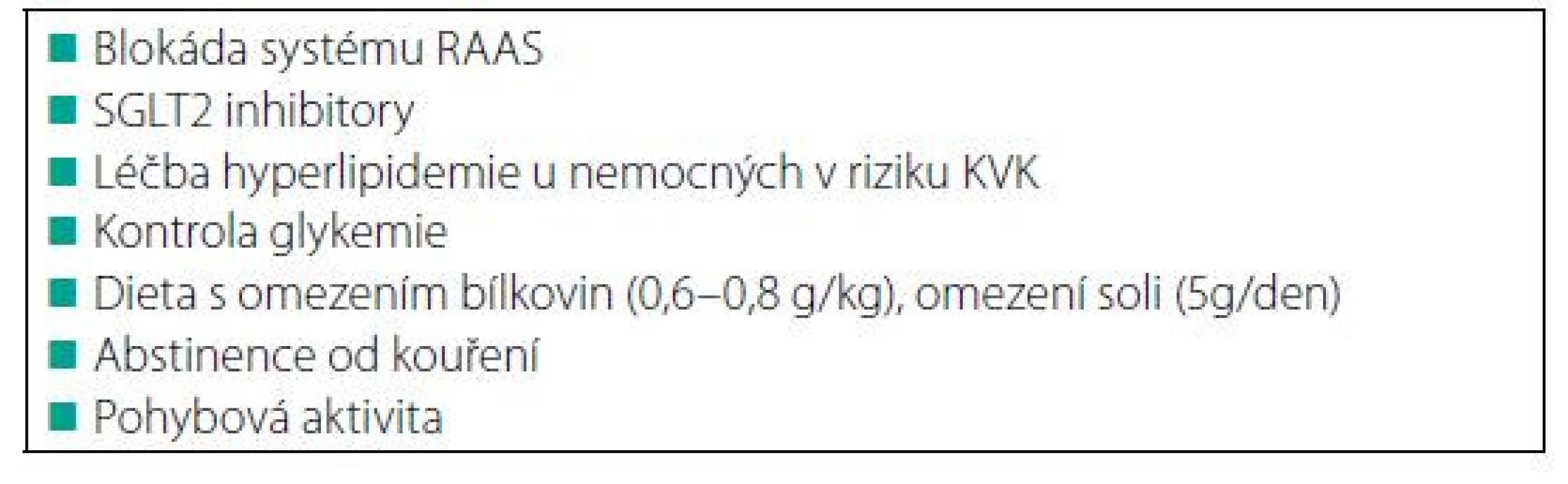 Současné možnosti renoprotekce
