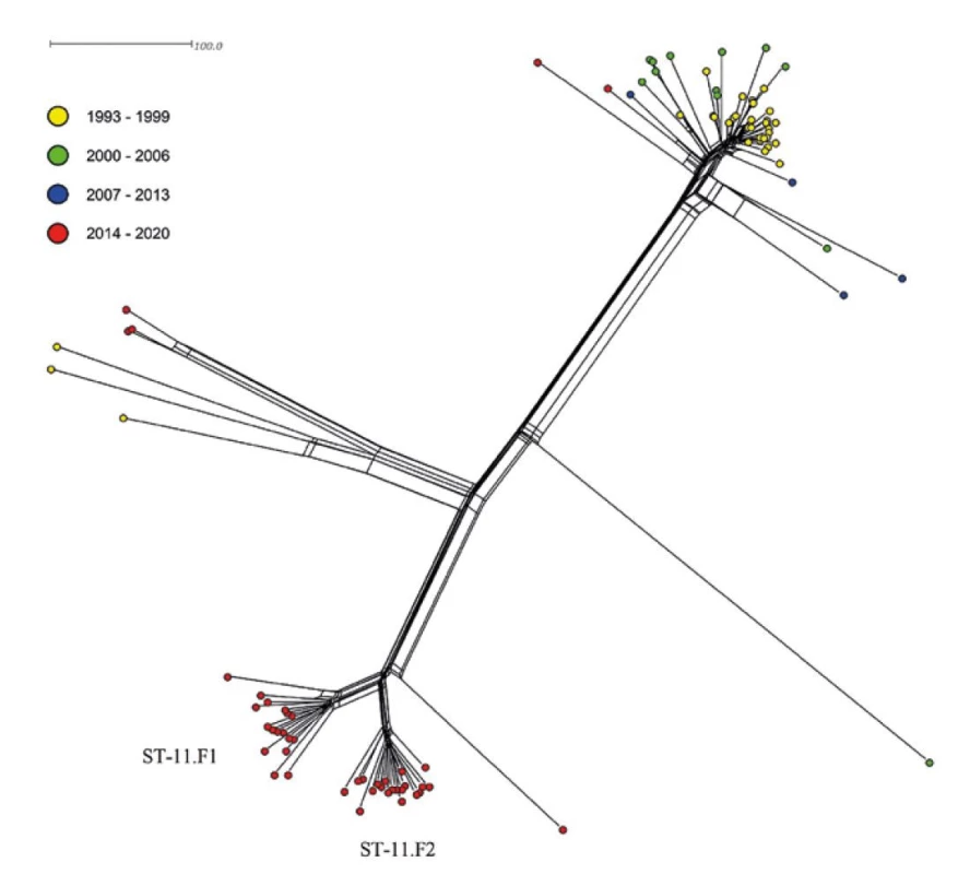 Genetická diverzita 92 izolátů cc11 z IMO, ČR, 1993–2020<br>
Figure 12. Genetic diversity of 92 cc11 isolates from IMD, CR, 1993–2020