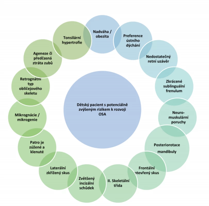 Souhrn faktorů objevujících se často u dětí trpících OSA<br>
Fig. 1 Summary of factors often occurring in children suffering from OSA