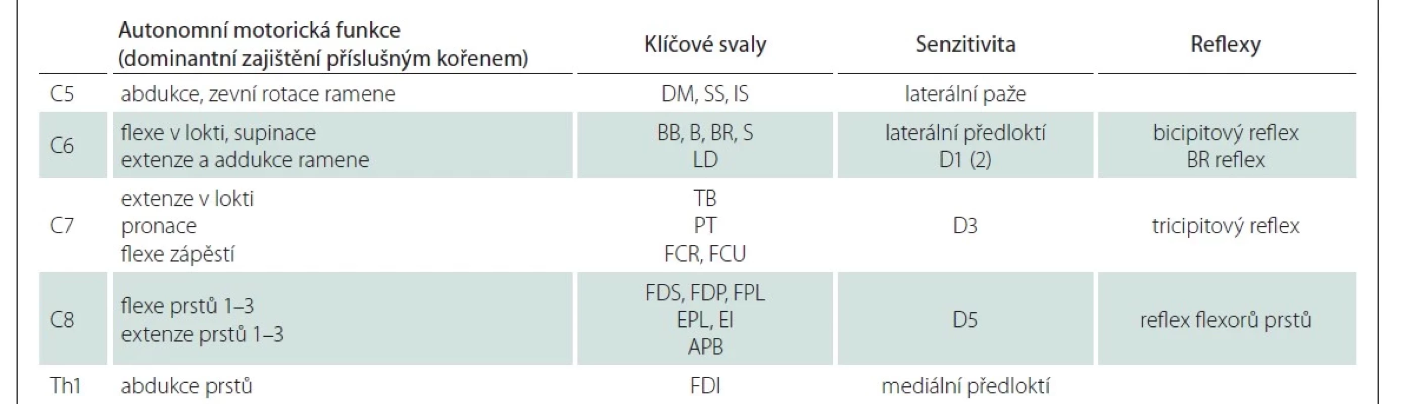 Klinické zhodnocení funkce jednotlivých kořenů.