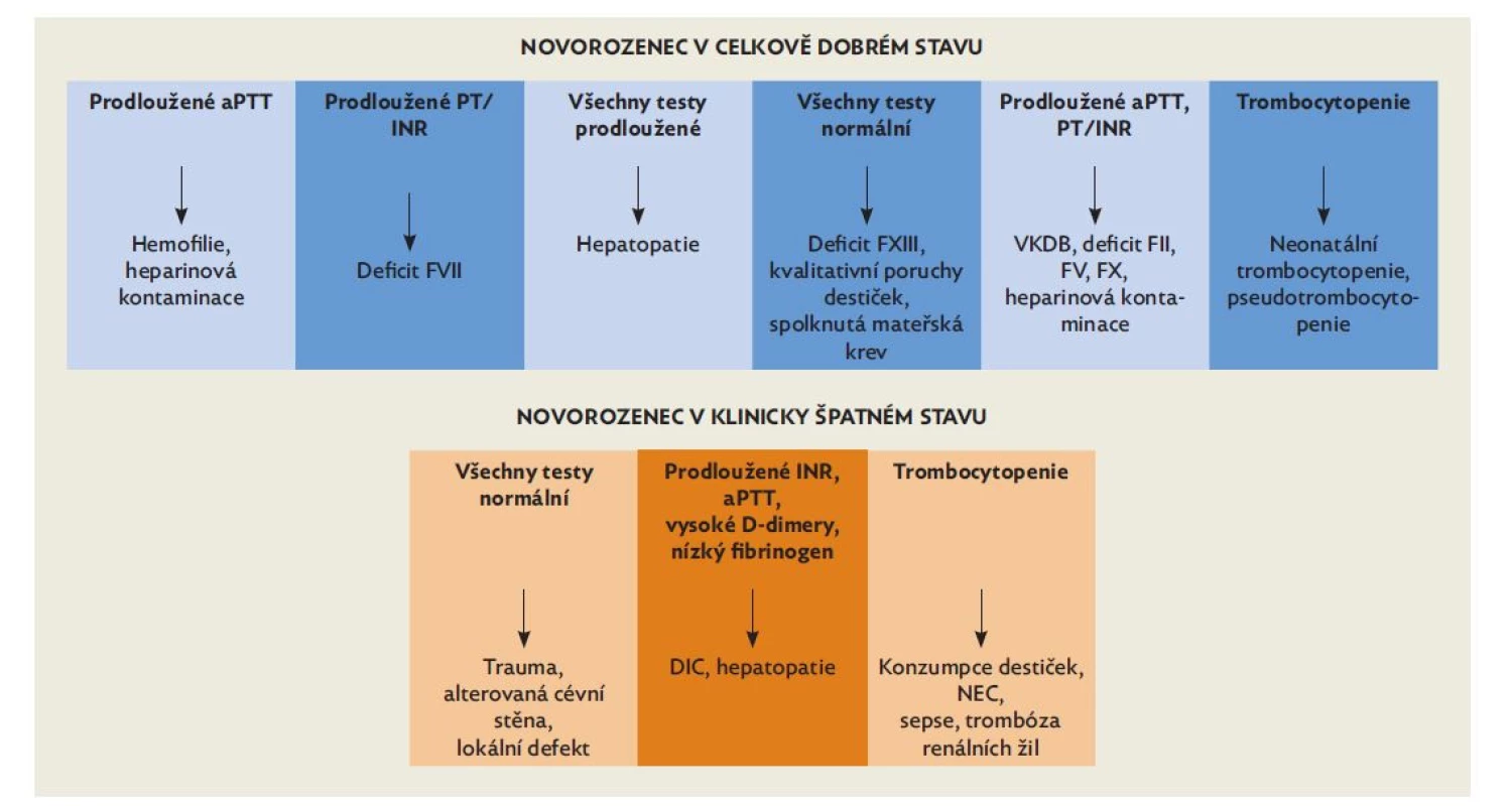 Krvácející novorozenec