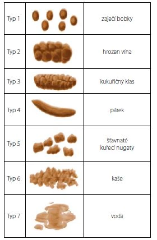 Česká verze Bristolské stupnice stolice (13)<br>
Fig. 5. The Czech version of the Bristol stool scale (13)
