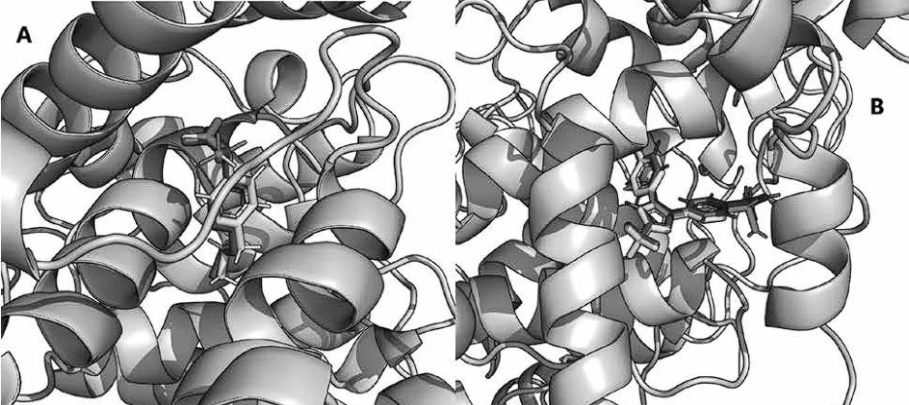 Receptors in complexes with calculated and experimental ligand conformation: ibuprofen with COX-1(A), bromocelecoxib with COX-2 (B)
