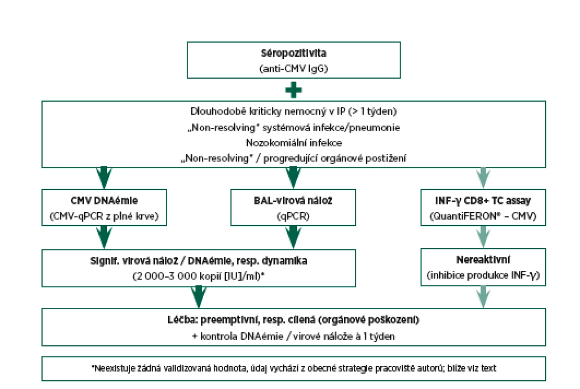 Diagnostický a rozhodovací algoritmus