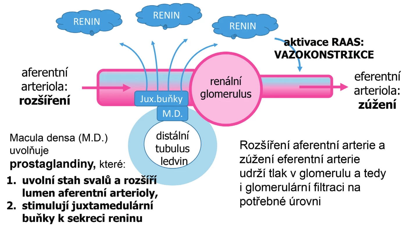 Reakce organismu na snížení glomerulární filtrace, např. při snížení objemu tělesných tekutin vyvolaném diuretickou léčbou
