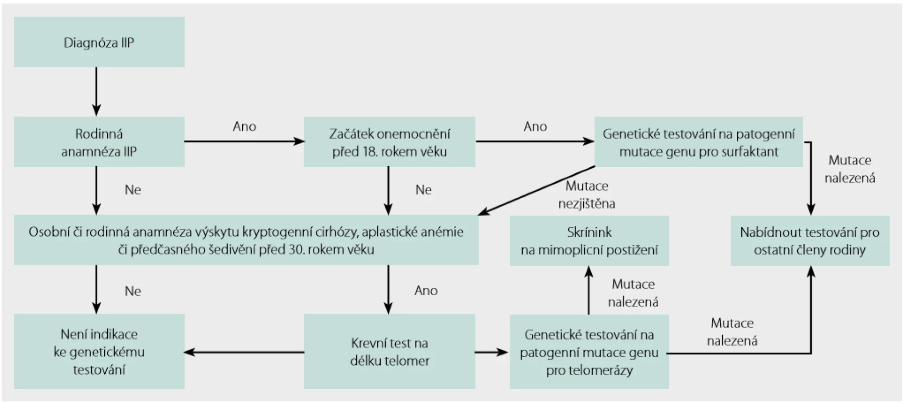 Genetické testování v rodinách s FPF. Podle Kropski a kol. (11)
