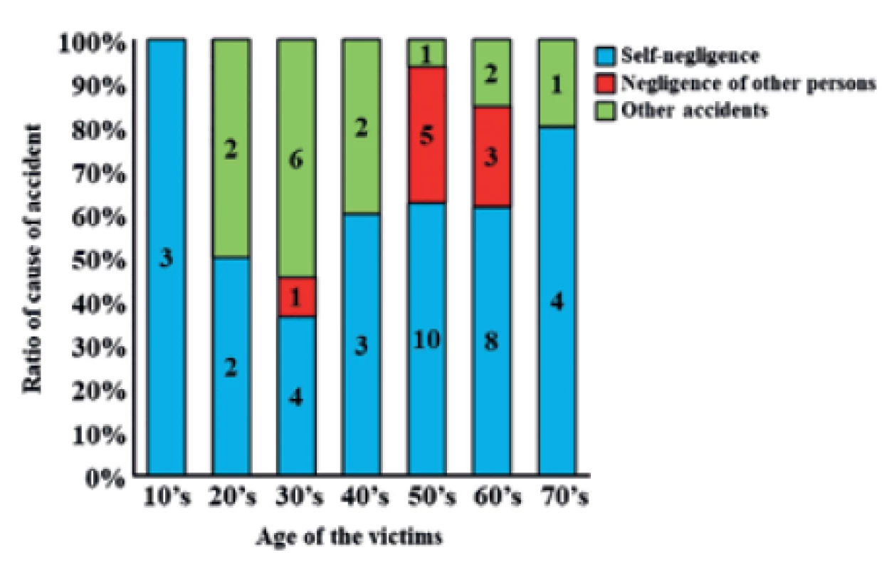 Cause of accidents in labor-related fatalities (n = 57).