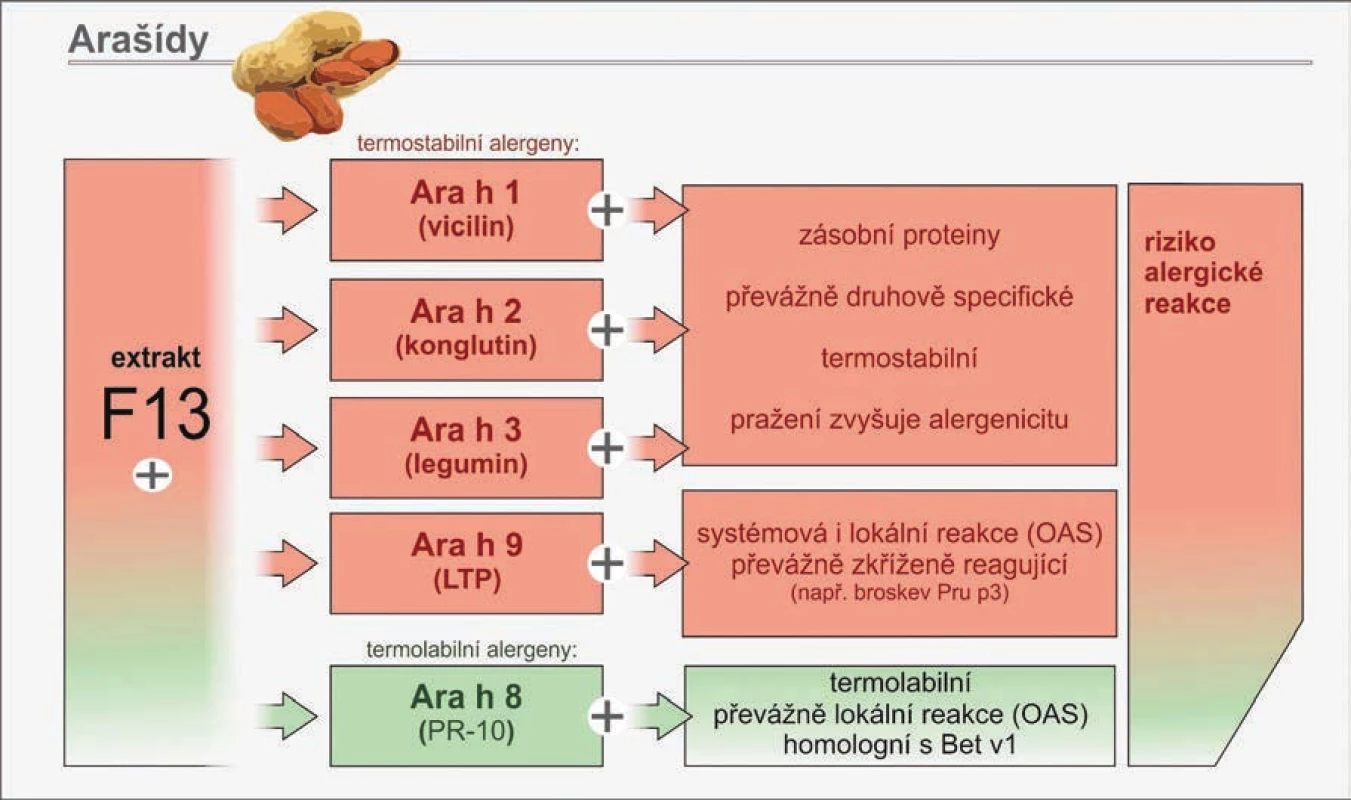 Vyšetření sIgE protilátek proti vybraným molekulárním komponentám arašídů
Predikce rizika alergické reakce.