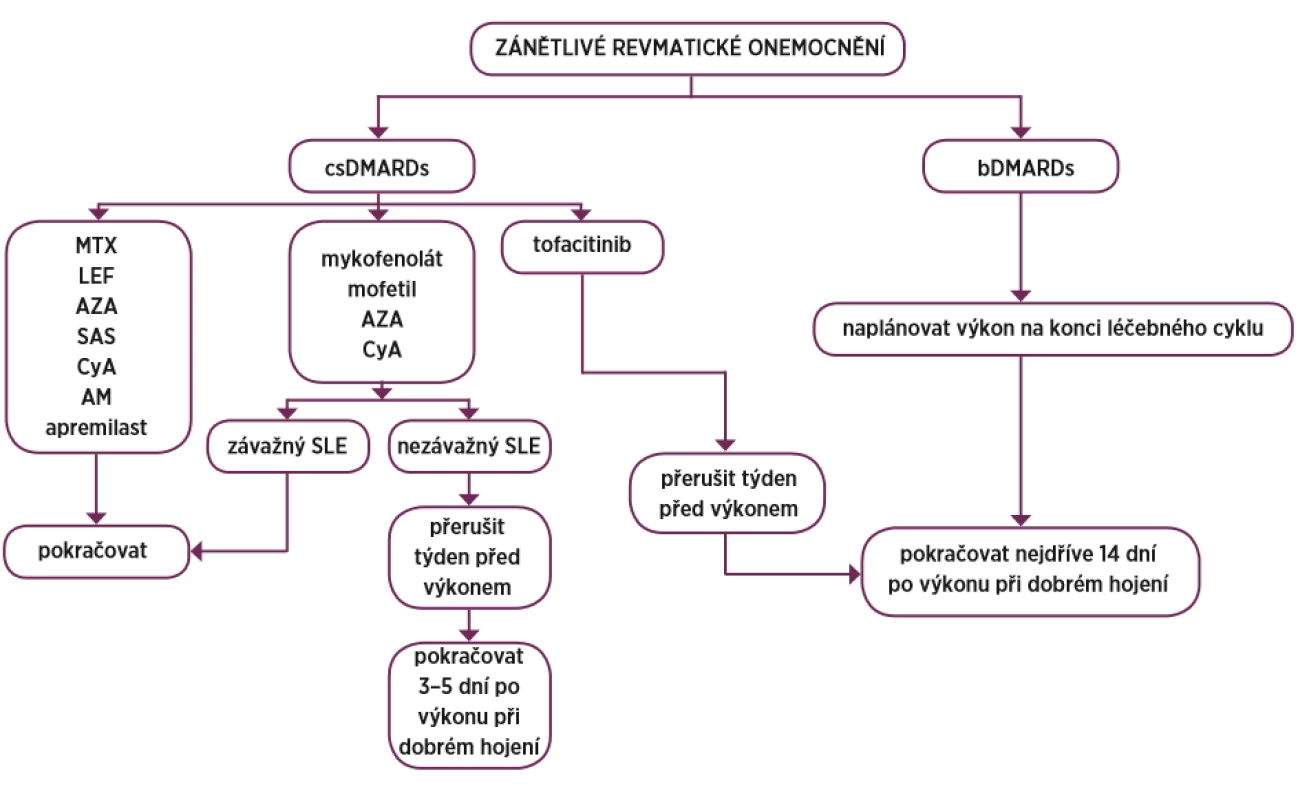 Přehled postupu DMARDs