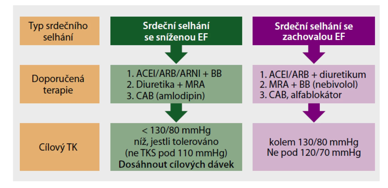 Diagram vhodné antihypertenzní terapie podle typu srdečního selhání.
