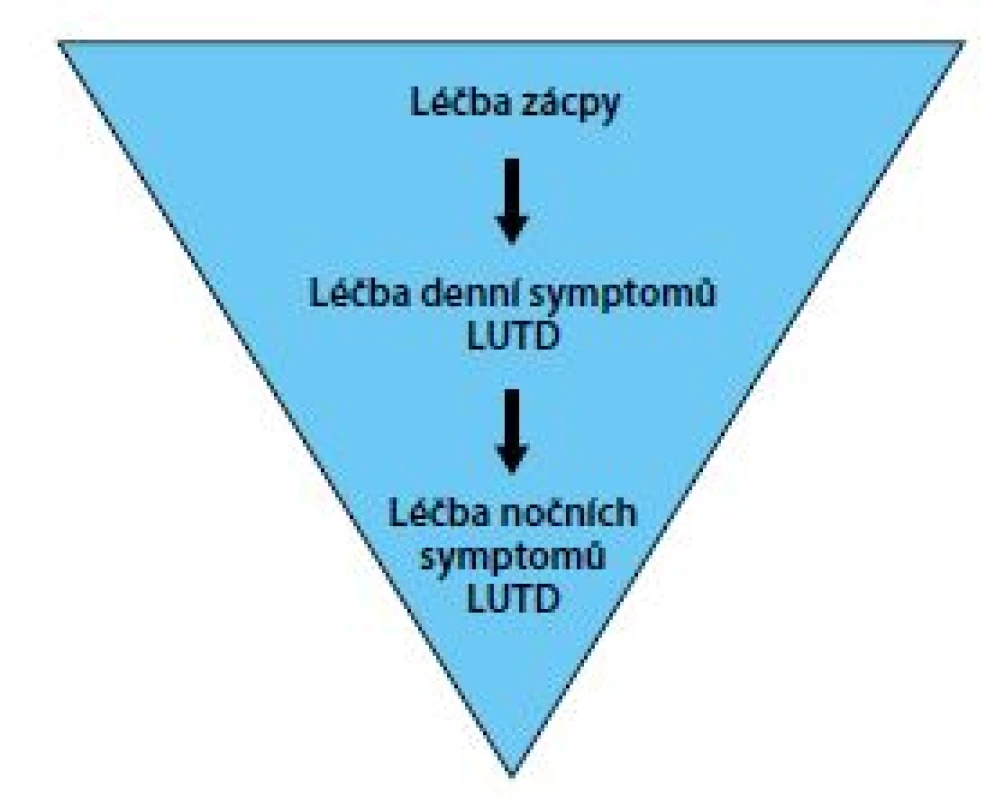 Standardní schéma léčby MNE dle ICCS<br>
Fig. 6. Bowel-Bladder dysfunction treatment logic
