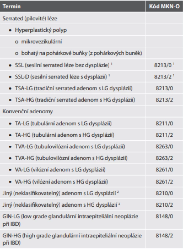 Benigní epitelové nádory a prekurzory (premaligní léze) CRC.