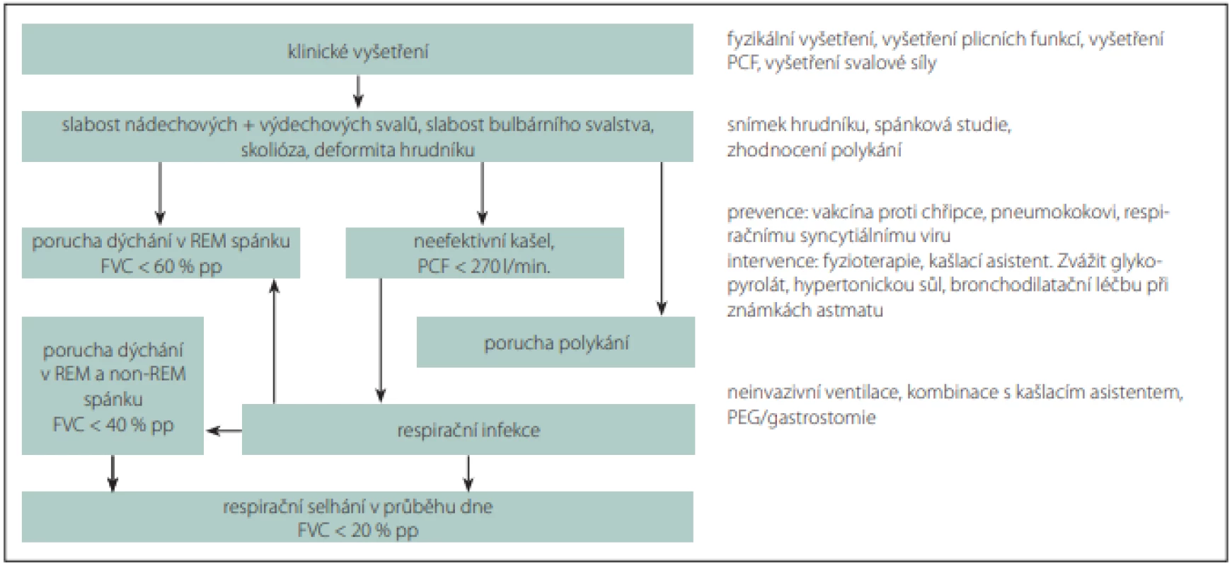Algoritmus respirační péče pacienta se spinální svalovou atrofií.<br>
Fig. 1. Respiratory management algorithm in patient with spinal muscular atrophy.