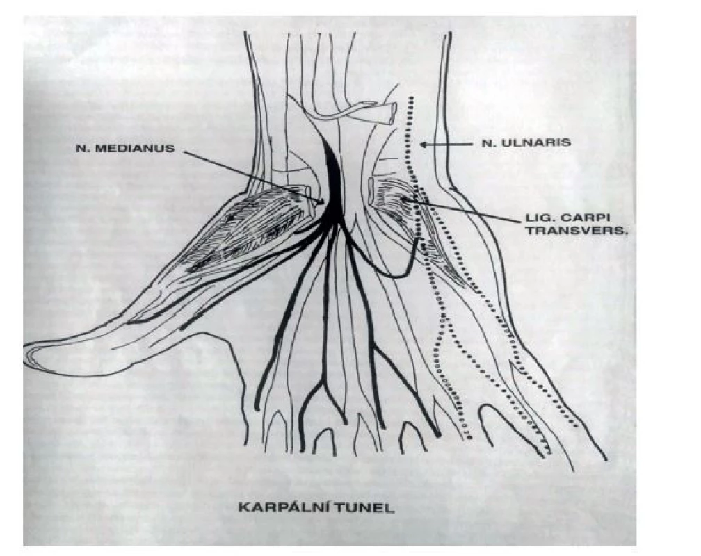 Karpální tunel (podle [11])