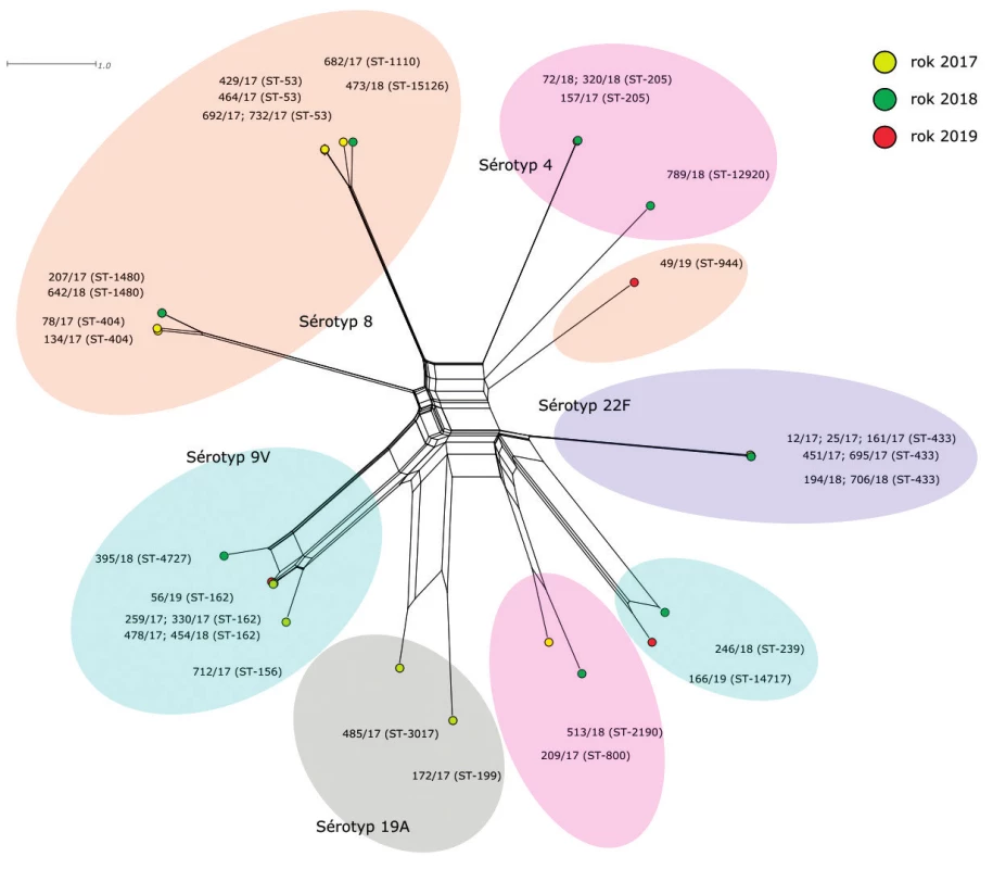 Vizualizace genetické diverzity na úrovni schématu MLST u 35 izolátů S. pneumoniae z IPO, 2017–2019, ČR<br>
Figure 1. Visualisation of genetic diversity according to the MLST scheme of 35 S. pneumoniae isolates from IPD, 2017–2019, Czech Republic