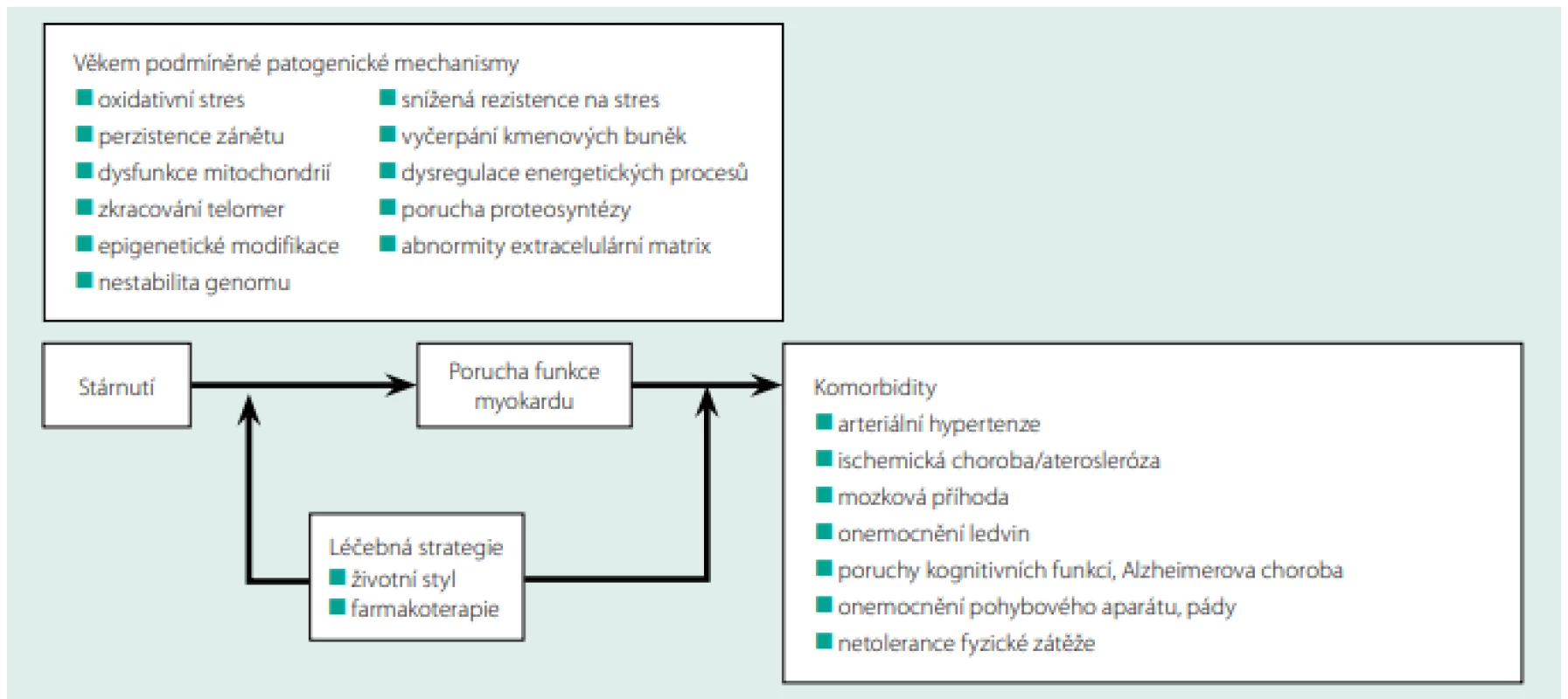Vztah mezi věkem podmíněnými procesy myokardu, komorbiditami a možnostmi terapeutického zásahu. Upraveno podle (26)
