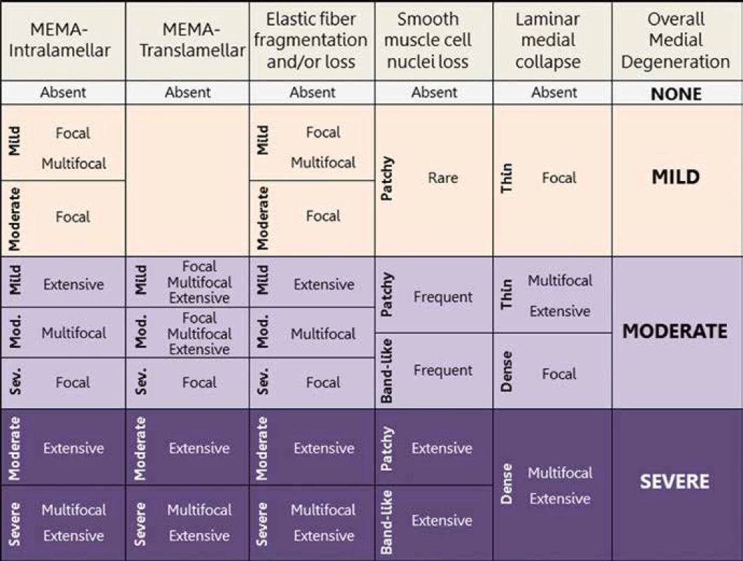 Konsensuální gradingové schéma pro hodnocení mediální degenerace aorty (Převzato z Halushka et al.: Consensus statement on surgical pathology of the aorta from the Society for Cardiovascular Pathology and the Association For European Cardiovascular Pathology: II. Noninflammatory degenerative diseases – nomenclature and diagnostic criteria)