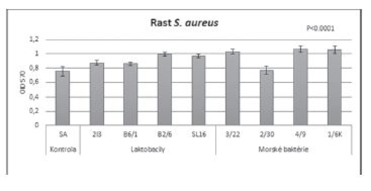 Vplyv BS (c = 8,57 mg/ml) izolovaných z laktobacilov
a morských baktérií na rast S. aureus CCM 3953