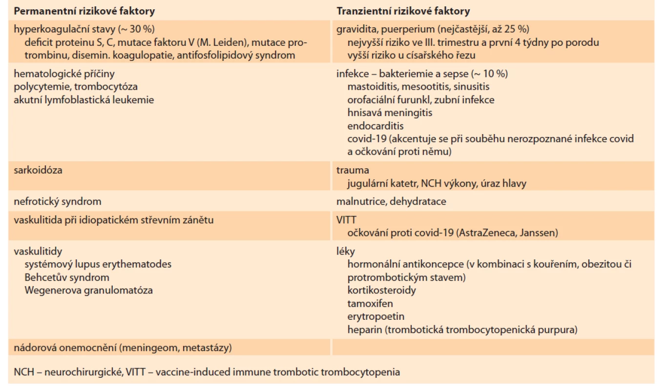 Přehled rizikových faktorů.<br>
Tab. 1. Overview of risk factors.