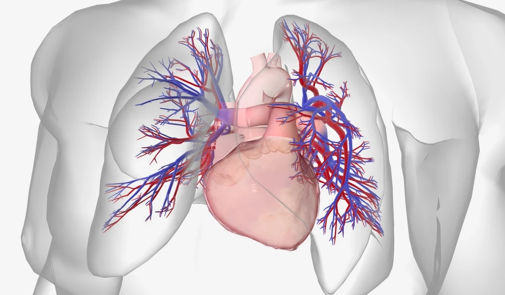 Plicní hypertenze – syndrom mnoha tváří – vyžaduje přesnou diagnostiku a specializovanou léčbu