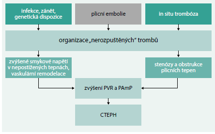 Schéma 1. Současná patofyziologická představa o CTEPH