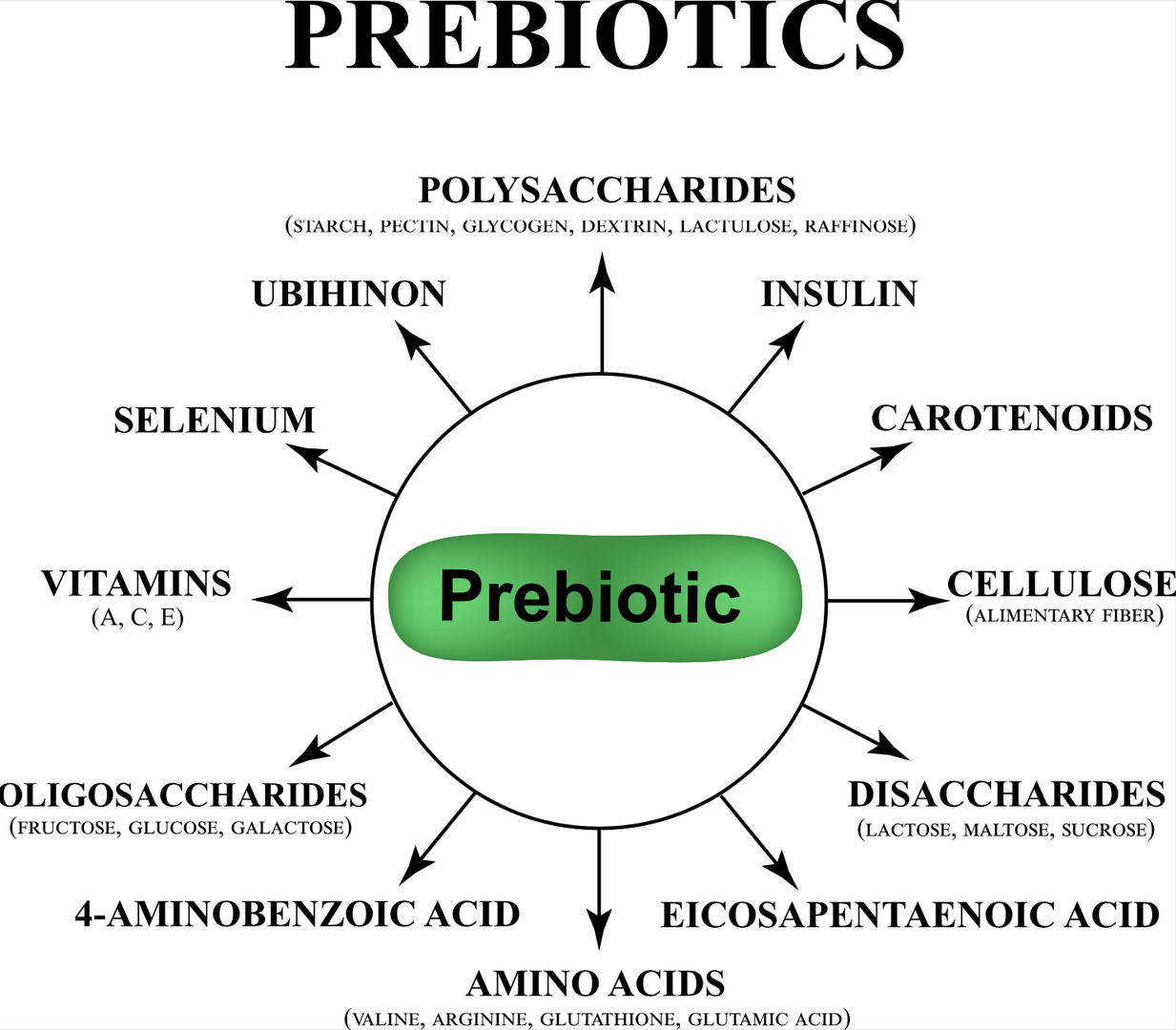 prebiotika