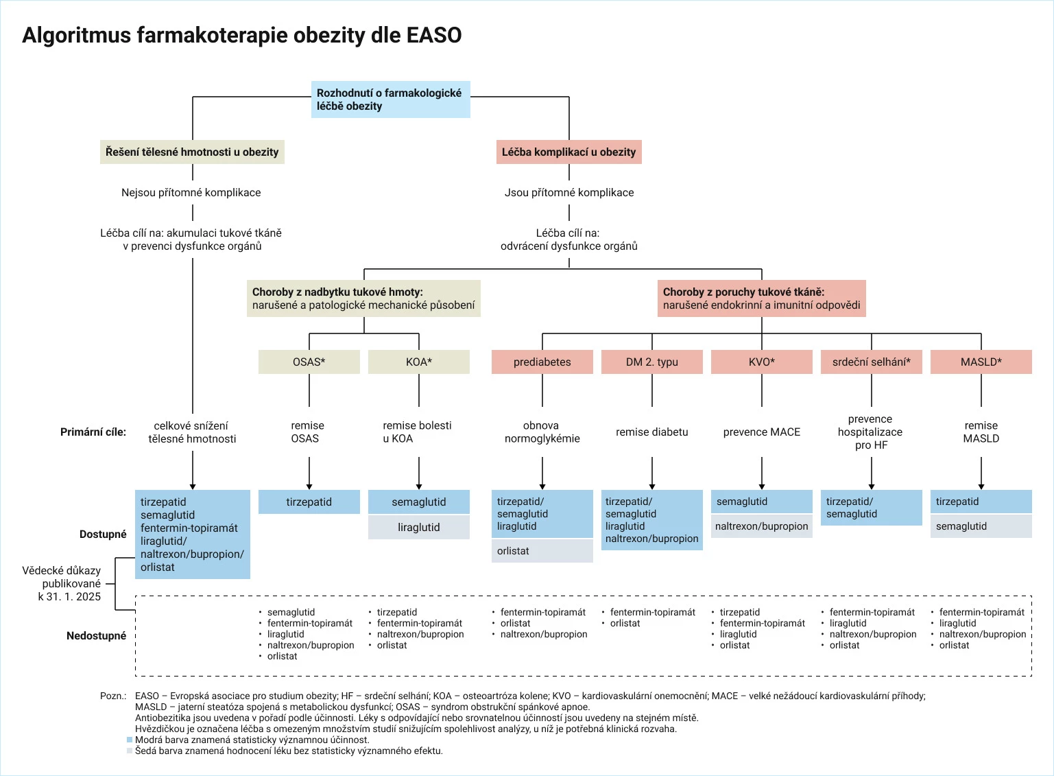 INFOGRAFIKA: Algoritmus individualizované léčby obezity dle EASO 2025
