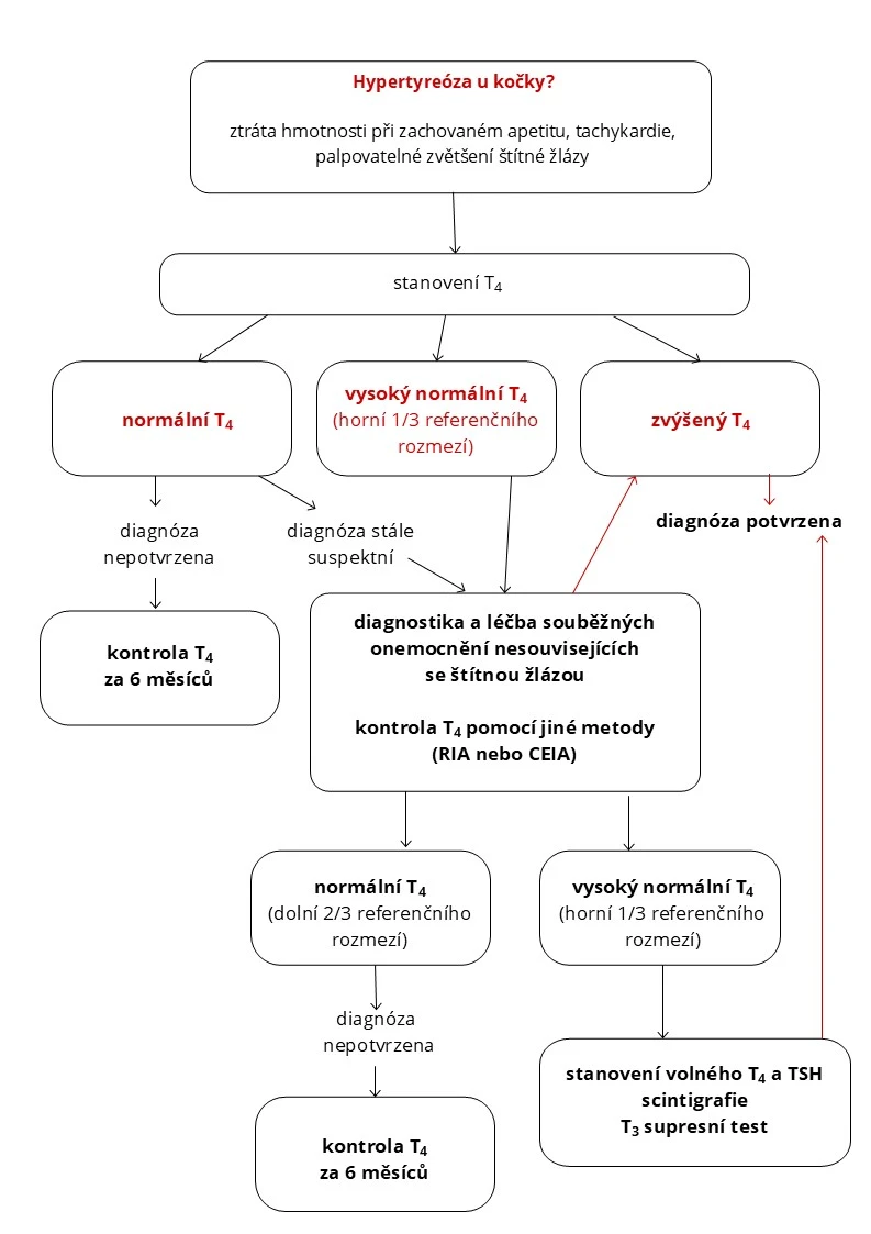 Algoritmus Hypertyreóza u koček
