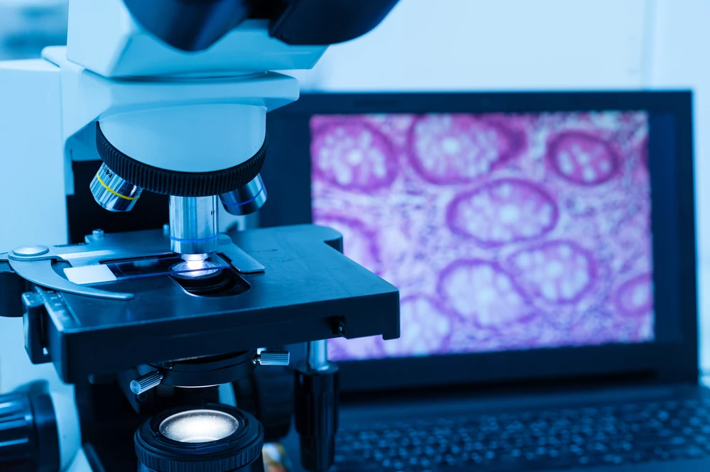 Revoluce v digitální cytologii mění pravidla hry: Jak AI zlepšuje péči o zvířecí pacienty?